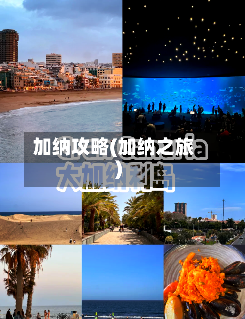 加纳攻略(加纳之旅)