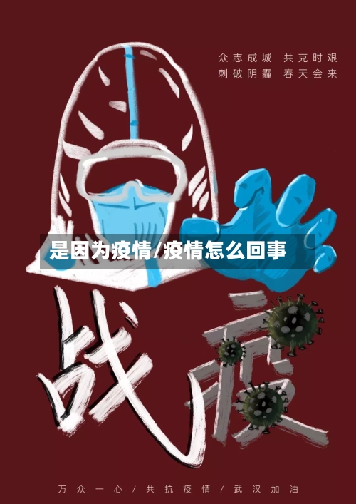 是因为疫情/疫情怎么回事