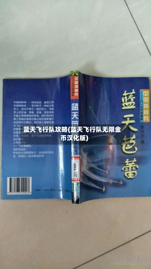 蓝天飞行队攻略(蓝天飞行队无限金币汉化版)-第3张图片