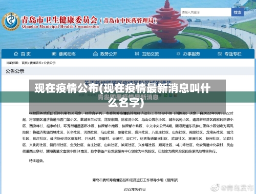 现在疫情公布(现在疫情最新消息叫什么名字)-第3张图片