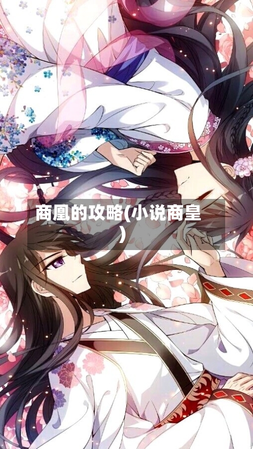 商凰的攻略(小说商皇)