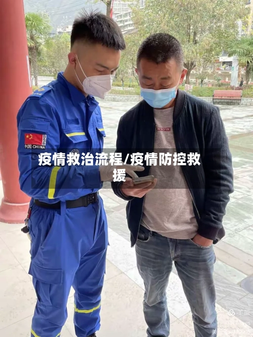 疫情救治流程/疫情防控救援-第3张图片