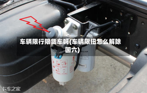 车辆限行限货车吗(车辆限扭怎么解除国六)-第2张图片