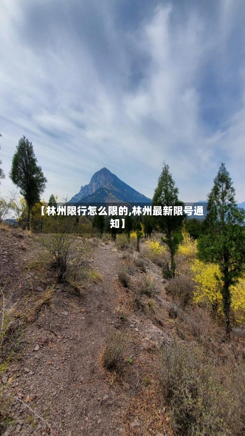 【林州限行怎么限的,林州最新限号通知】