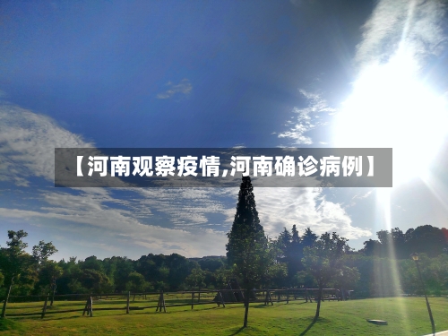 【河南观察疫情,河南确诊病例】