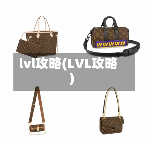 lvl攻略(LVL攻略)-第2张图片