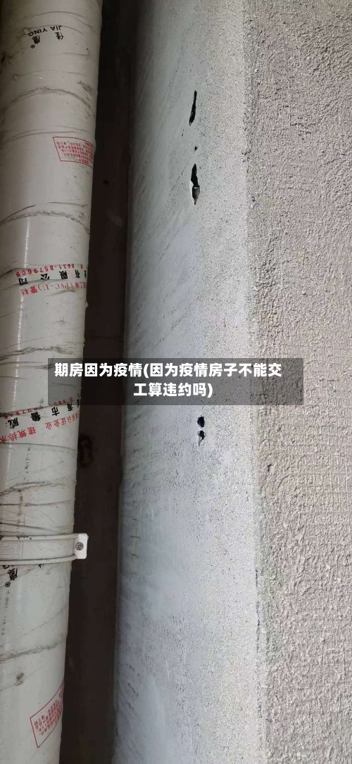 期房因为疫情(因为疫情房子不能交工算违约吗)