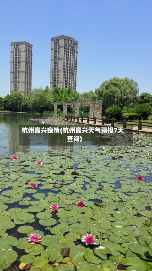 杭州嘉兴疫情(杭州嘉兴天气预报7天查询)
