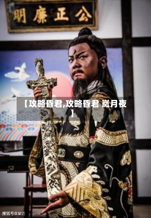 【攻略昏君,攻略昏君 岚月夜】