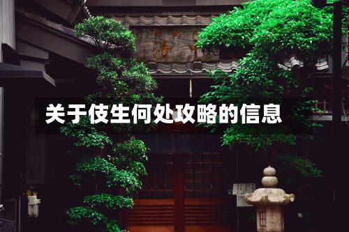 关于伎生何处攻略的信息
