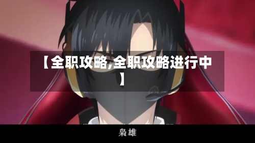 【全职攻略,全职攻略进行中】