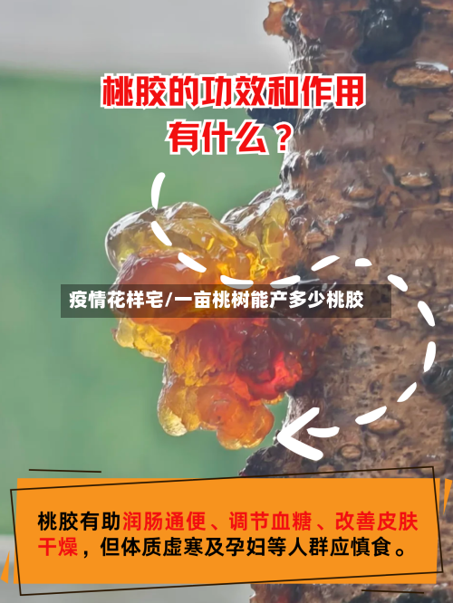 疫情花样宅/一亩桃树能产多少桃胶-第3张图片