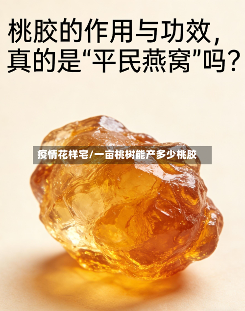 疫情花样宅/一亩桃树能产多少桃胶
