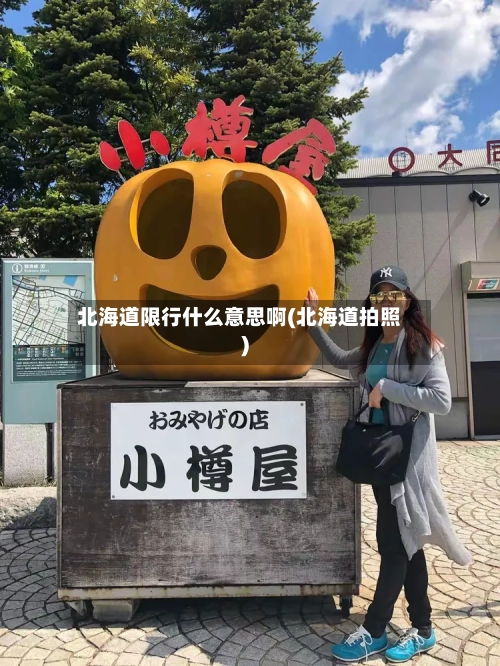 北海道限行什么意思啊(北海道拍照)