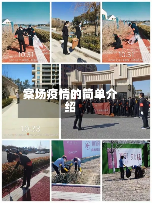 案场疫情的简单介绍-第2张图片