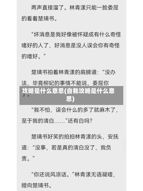攻略是什么意思(自我攻略是什么意思)