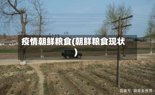 疫情朝鲜粮食(朝鲜粮食现状)-第2张图片