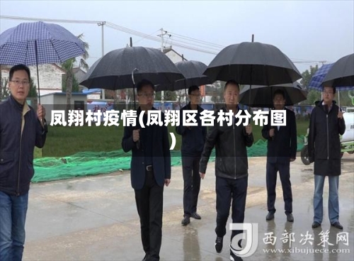 凤翔村疫情(凤翔区各村分布图)