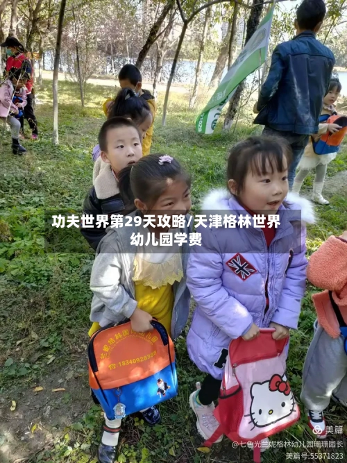 功夫世界第29天攻略/天津格林世界幼儿园学费