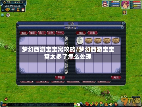 梦幻西游宝宝窝攻略/梦幻西游宝宝窝太多了怎么处理