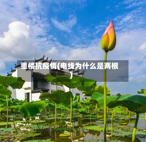 重楼抗疫情(电线为什么是两根)-第2张图片