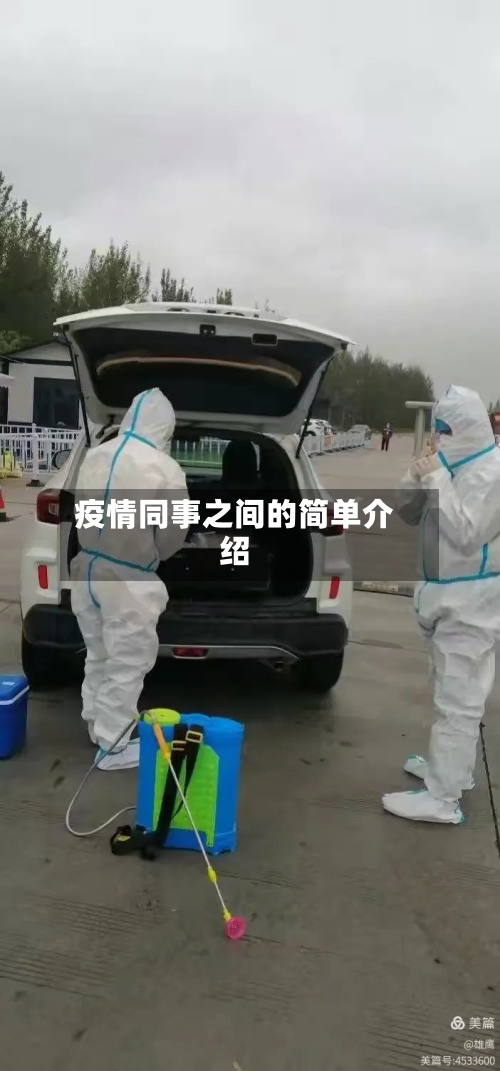 疫情同事之间的简单介绍