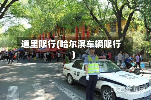 道里限行(哈尔滨车辆限行)