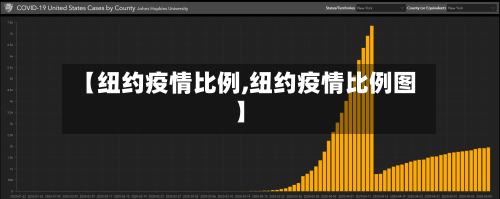 【纽约疫情比例,纽约疫情比例图】-第2张图片
