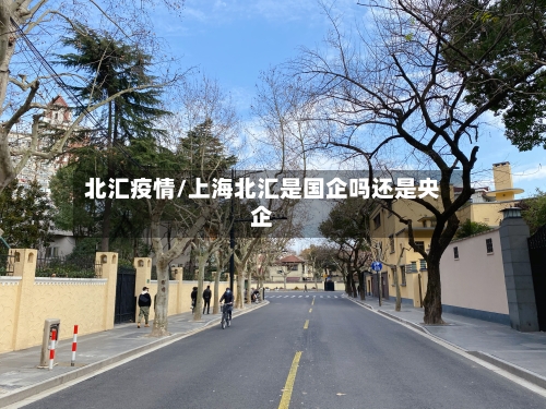 北汇疫情/上海北汇是国企吗还是央企