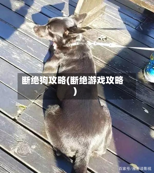 断绝狗攻略(断绝游戏攻略)-第2张图片