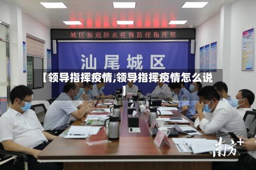 【领导指挥疫情,领导指挥疫情怎么说】