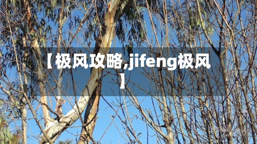 【极风攻略,jifeng极风】-第2张图片