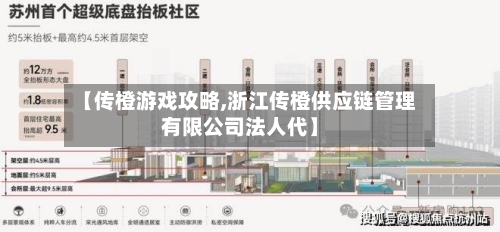 【传橙游戏攻略,浙江传橙供应链管理有限公司法人代】-第3张图片