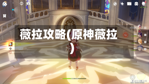 薇拉攻略(原神薇拉)-第2张图片