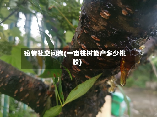 疫情社交问卷(一亩桃树能产多少桃胶)-第2张图片