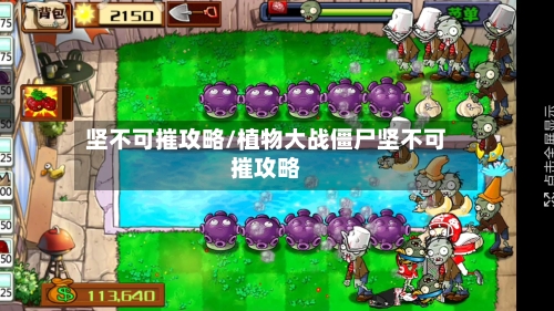 坚不可摧攻略/植物大战僵尸坚不可摧攻略-第3张图片