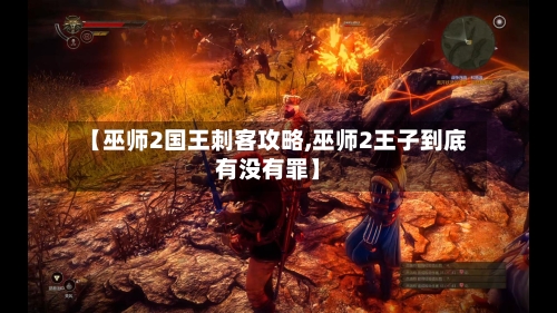【巫师2国王刺客攻略,巫师2王子到底有没有罪】