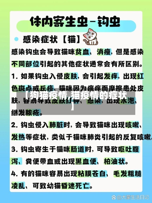 【狗猫疫情,猫疫情的症状】-第2张图片